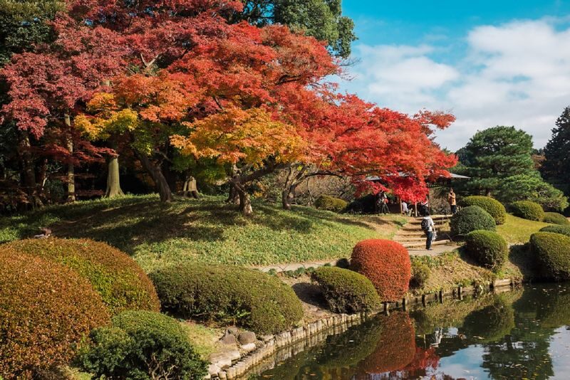 Shinjuku Gyoen National Garden - 2 Hours Walking Tour - From Shinjuku Gyoen-mae to the garden gates