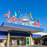 Shirahama Beach & ToreTore Market Full-Day Small Group Tour - ToreTore Market: make room for lunch