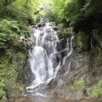 Shiraito Falls & Forest Cafe & Handmade Flower Salt Pudding & Grilled Seafood & Totoro Forest & Sakurai Futamigaura & Angels Wings & Coconut Tree Swing Day Tour (Departing from Hakata Station, with Mandarin, English, and Cantonese speaking guide) - A Long Pause at Forest Cafe Midori no Oto