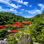 Shirakami Sanchi & Takayama Inari Shrine Full-Day World Heritage Tour - Takayama Inari Shrine: red gates in a remote setting