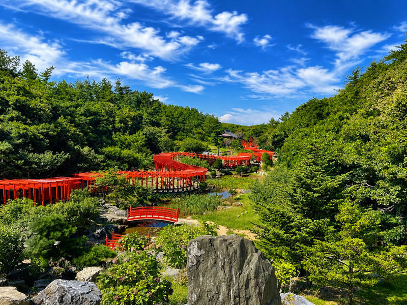 Shirakami Sanchi & Takayama Inari Shrine Full-Day World Heritage Tour - Takayama Inari Shrine: red gates in a remote setting