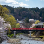Shirakawa-go Day Trip | Optional Direct Access to Observation Deck + Hida Takayama Old Town | Optional Premium Small Group Tour for up to 9 People, Hotel Pickup and Drop-off | Departure from Nagoya - Choose your route before you book