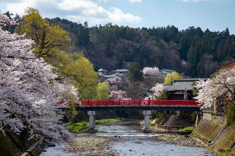 Shirakawa-go Day Trip | Optional Direct Access to Observation Deck + Hida Takayama Old Town | Optional Premium Small Group Tour for up to 9 People, Hotel Pickup and Drop-off | Departure from Nagoya - Choose your route before you book