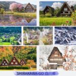 Shirakawa-go, Gujo Hachiman, and Hida Takayama Day Trip - Takayama: old streets, lunch, and local specialties