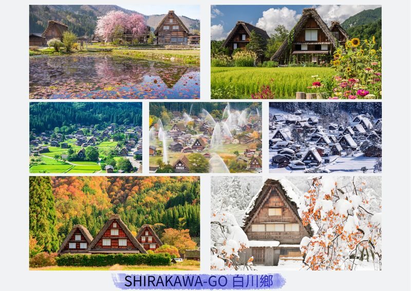 Shirakawa-go, Gujo Hachiman, and Hida Takayama Day Trip - Takayama: old streets, lunch, and local specialties