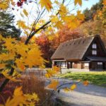 Shirakawa-go, Takayama and Gujo Hachiman Day Tour from Nagoya - The 8:00 a.m. start and the drive into Gifu