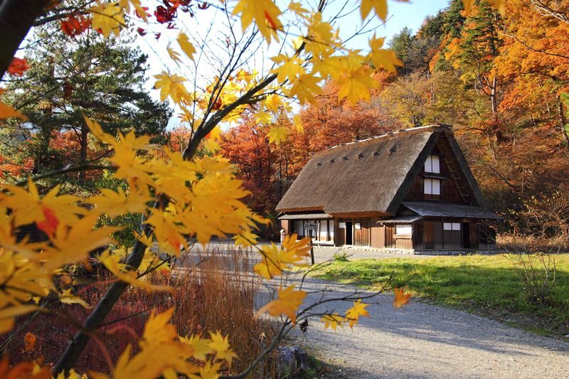 Shirakawa-go, Takayama and Gujo Hachiman Day Tour from Nagoya - The 8:00 a.m. start and the drive into Gifu