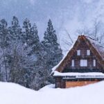 Shirakawa-go Winter Illumination & Hida Takayama Full-Day Tour - What Hida Takayama adds to the day