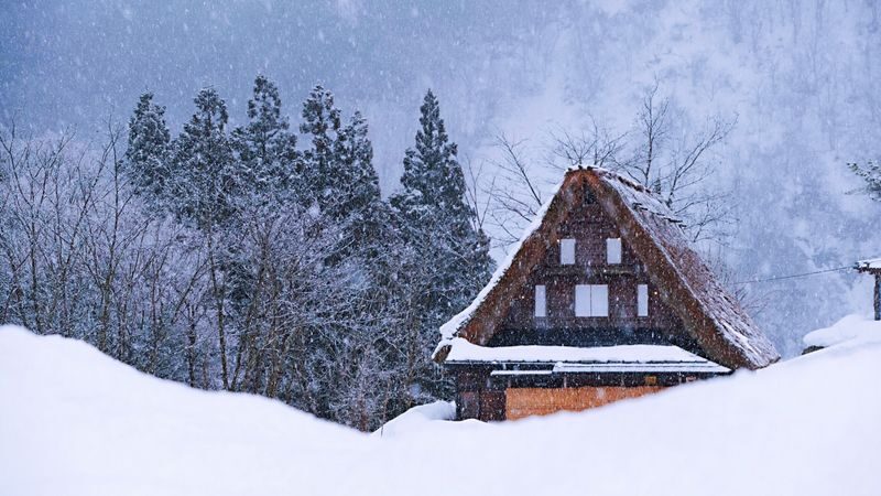Shirakawa-go Winter Illumination & Hida Takayama Full-Day Tour - What Hida Takayama adds to the day