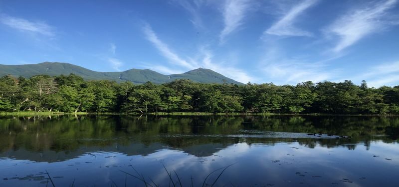 Shiretoko Goko Lakes Half-Day Guided Walking Tour - What the guide adds to the walk