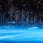 Shirogane Blue Pond & Ningle Terrace Dual Illumination & Dusk Christmas Tree & Shirahige Waterfall & Shikisai-no-Oka Winter Dual Illumination Day Tour - Shikisai-no-Oka: snow, open fields, and an optional ride