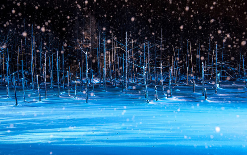 Shirogane Blue Pond & Ningle Terrace Dual Illumination & Dusk Christmas Tree & Shirahige Waterfall & Shikisai-no-Oka Winter Dual Illumination Day Tour - Shikisai-no-Oka: snow, open fields, and an optional ride