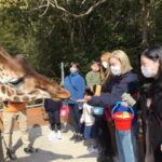 Shirotori Zoo Ticket in Higashikagawa - What your visit may look like