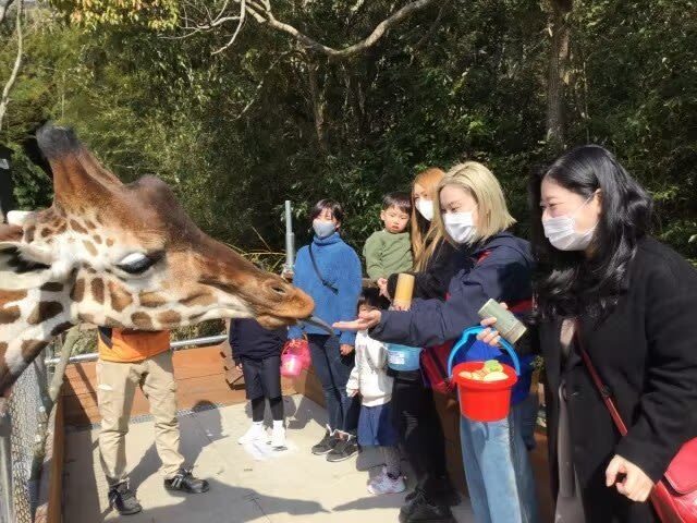 Shirotori Zoo Ticket in Higashikagawa - What your visit may look like