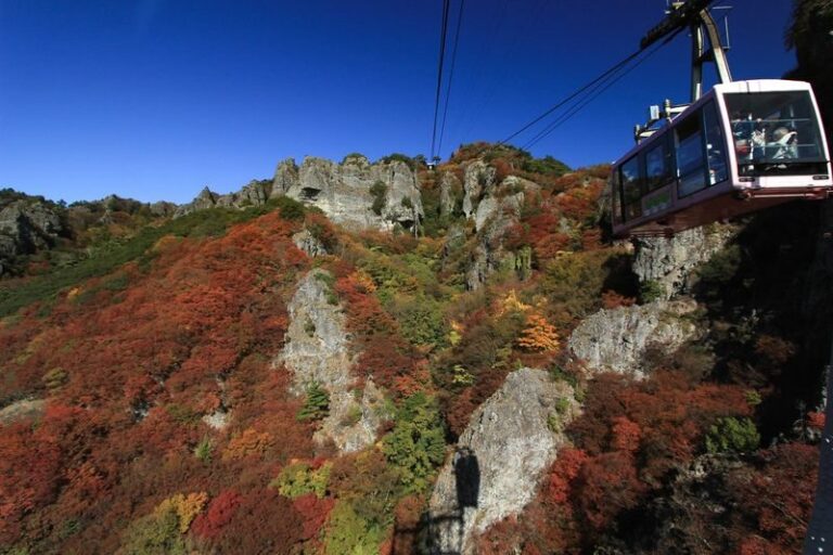 Shodoshima Island Full-Day Private Tour with Ropeway Ride - What a full day can cover