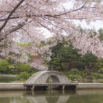 Shukkeien Garden Admission Ticket (Hiroshima) - Wandering from the pond to the garden’s quieter corners