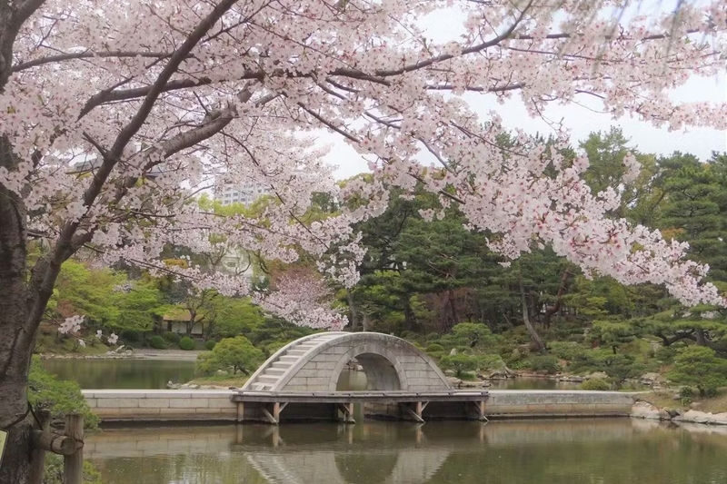 Shukkeien Garden Admission Ticket (Hiroshima) - Wandering from the pond to the garden’s quieter corners