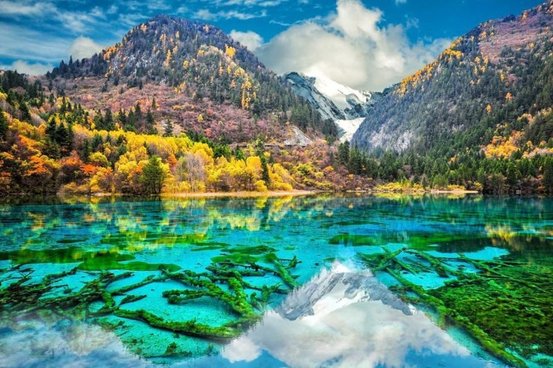 Sichuan Jiuzhaigou and Huanglong High-Speed Rail Round-Trip Pure Sightseeing 3-Day Tour - Day one: Huanglong before the Jiuzhaigou hotel