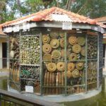 Siem Reap Banteay Srei & Kbal Spean Full-Day Tour with Landmine Museum - Kbal Spean: the walk is part of the visit