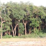 Siem Reap Kampong Phluk & Floating Village Full-Day Small Group Tour - What the water-level view adds