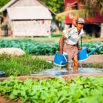 Siem Reap Ultimate Countryside E-Bike Tour - Riding through rice fields to Num Banh Chok