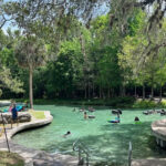 Silver Springs State Park Outdoor Adventure Tour - The Orlando-to-Silver-Springs day