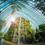 Singapore Gardens by the Bay 2.5-Hour Guided Tour - Start with the Supertrees