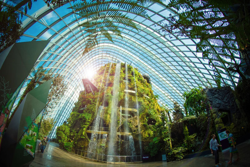 Singapore Gardens by the Bay 2.5-Hour Guided Tour - Start with the Supertrees