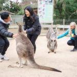 Small Group Blue Mountains Wildlife & Bushwalk Tour from Sydney - A village pause in Leura
