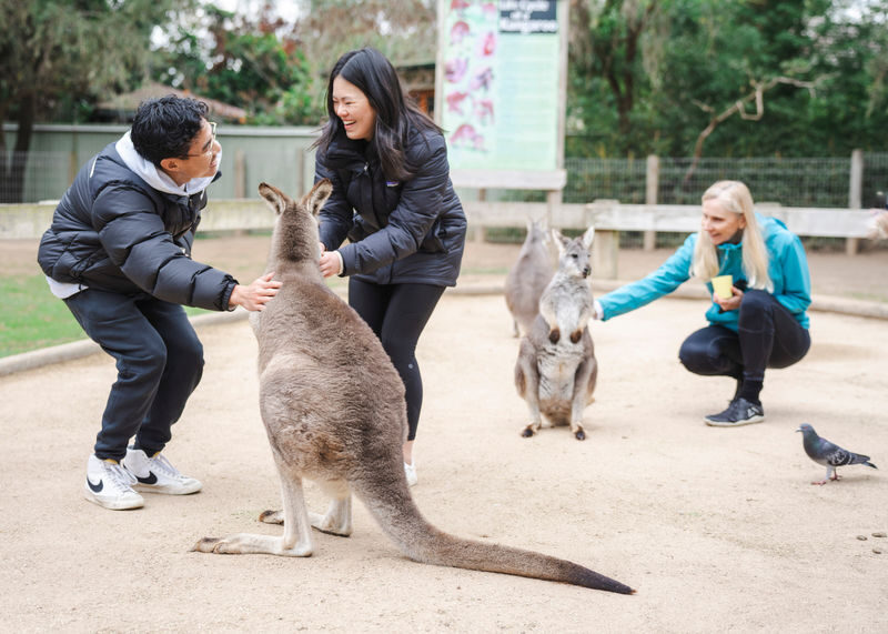 Small Group Blue Mountains Wildlife & Bushwalk Tour from Sydney - A village pause in Leura