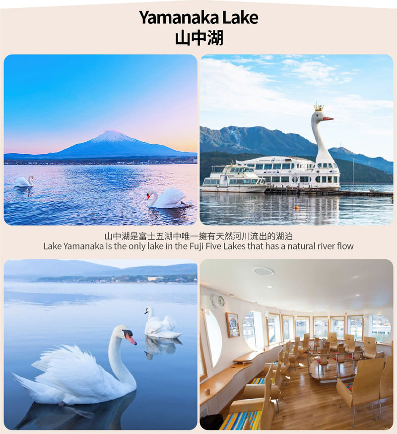 Small Group Tour of Tokyo, Mount Fuji, and Lake Yamanaka (including cycling) - Lake Yamanaka, with a bicycle in the plan