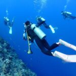 Snorkeling, Diving, & Fun Diving Experience in Kerama Islands - A 7:30 start from Miegusuku Port