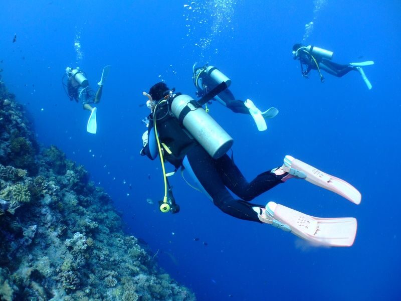 Snorkeling, Diving, & Fun Diving Experience in Kerama Islands - A 7:30 start from Miegusuku Port