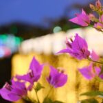 Southeast Botanical Gardens Admission Ticket (Okinawa) - Start with the Water Park’s animal areas