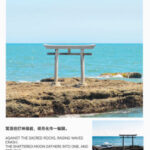 Spring Limited: Ashikaga Flower Park Night Wisteria & Hitachi Seaside Park Baby Blue Eyes & Kamisukisa Torii Archway Day Trip | Departure from Tokyo - Kamiiso-no-Torii: a beautiful stop that may disappear