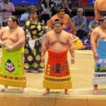 Sumo Tournament Experience in Nagoya - Hearing the story while the bouts unfold