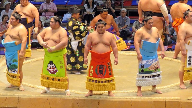 Sumo Tournament Experience in Nagoya - Hearing the story while the bouts unfold