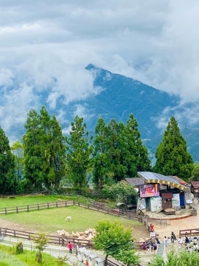 Sun Moon Lake & Qingjing Farm Day Tour from Taichung (Boat Ticket Included) - Sun Moon Lake by boat
