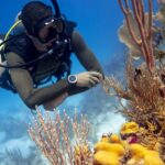 Sunrise Dive in Boracay: Start at 8AM with PADI Center - What the two-hour trip includes