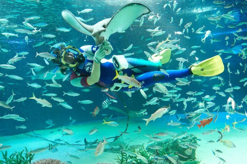 Sunshine Aquarium and SKY CIRCUS Sunshine 60 Observatory Ticket - Sunshine 60: a view with activities attached