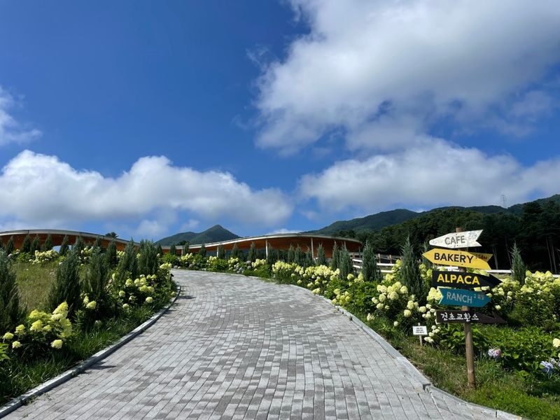 Sweet Day in Gapyeong:Sheep Ranch&Strawberry Picking(Lunch Included) - Eobi Ice Valley or a garden visit