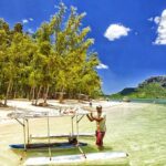 Swimming with Wild Dolphins, Lunch on Benitiers Island & Transfer in Mauritius - Two hours with dolphins in Tamarin Bay