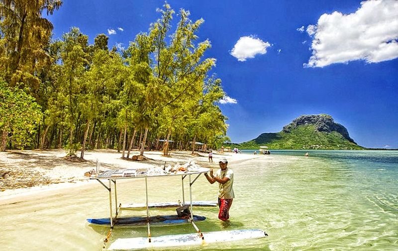 Swimming with Wild Dolphins, Lunch on Benitiers Island & Transfer in Mauritius - Two hours with dolphins in Tamarin Bay