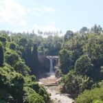 Swing and Waterfall Full Day Tour in Ubud - Tegenungan Waterfall: a view from above or a walk down