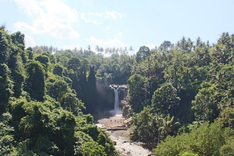 Swing and Waterfall Full Day Tour in Ubud - Tegenungan Waterfall: a view from above or a walk down