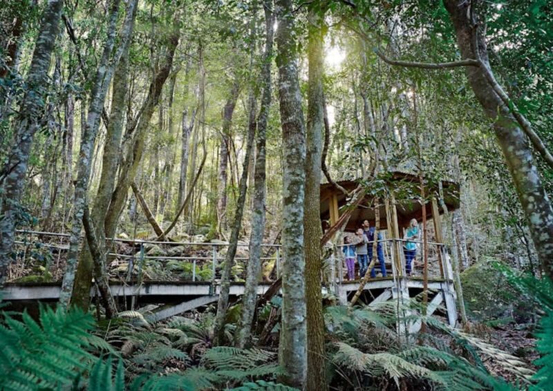 Sydney Blue Mountains Full-Day National Park Tour(Chinese Guide) - Leura offers a gentle change of pace