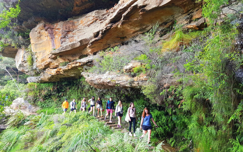 Sydney Blue Mountains Full-Day Small Group Waterfall Tour - A coffee stop in Glenbrook