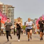 Sydney Harbour Running Tour - What the guide adds beyond the views