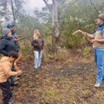 Sydney - Koalas, Kangaroos, Boomerangs & Aussie BBQ Day Trip - Koalas, kangaroos and more at the park