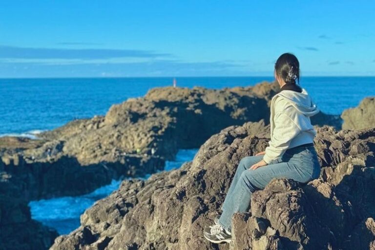 Sydney Wollongong, Kiama & Gerringong Full-Day Korean Guided Tour - Sea Cliff Bridge makes the drive a highlight